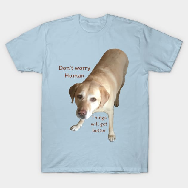 Don’t Worry Human T-Shirt by Amanda1775